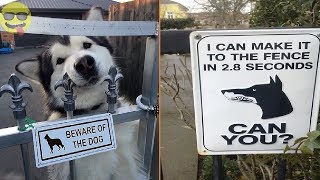 Beware Of Dog Signs That Will Make You Laugh [upl. by Dorelle330]