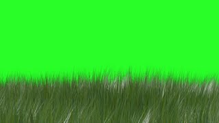 Grass flowing on Air Green Screen Animation Link in Description No Copyright [upl. by Adnov836]