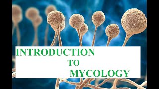 Introduction to Mycology [upl. by Flanders806]