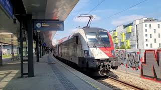 Wien Stadlau SBahn Wien S80 train nr 25031 REX 1 train Wiener Neustadt Břeclav [upl. by Eilyw336]