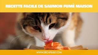 Recette facile comment fumer un saumon fumé  La Décapsule [upl. by Naujit516]