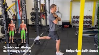 Bulgarian Split Squat [upl. by Enahpets]