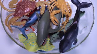 Box Full of Toys 🦈 Ocean and Sea Animals Best Educational Video for Children [upl. by Kind]