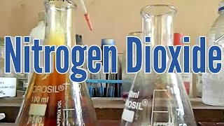 Nitrogen Dioxide  preparation and properties [upl. by Brotherson]