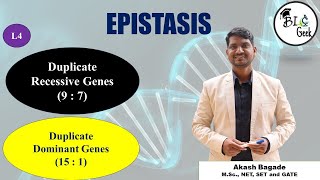 Genetics Duplicate Recessive and Duplicate Dominant Epistasis BScMSc SPPU Life Science [upl. by Vanthe]