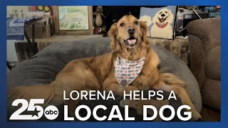 Lorena community coming together to fundraise for local dogs chemotherapy [upl. by Shig]