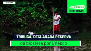 Tribugá declarada reserva de biosfera por Unesco  Teleantioquia Noticias [upl. by Annairoc93]