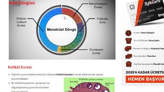 Menstrual Döngü Adet Döngüsü Nedir Evreleri Nelerdir [upl. by Verdi612]