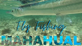 Pesca en los Flats de Mahahual QRoo Mexico  Fly Fishing en Bicicleta [upl. by Rehtaeh]