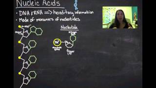 Nucleic Acids [upl. by Radu]