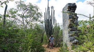 MOUNTAIN ROUTE  CHRISTOFFEL NATIONAL PARK  CURAÇAO ATTRACTION [upl. by Aicila419]