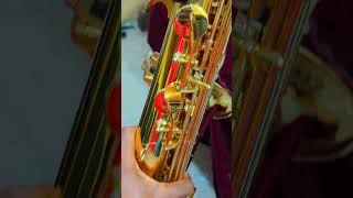 Tenor Saxophone 🎷pianobased tenorsaxophone tenor [upl. by Hazaki834]