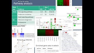 Analyzing RNASeq data using iDEP [upl. by Einneg527]