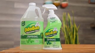 Does OdoBan Disinfectant kill coronavirus March 2020 Response [upl. by Acissj]