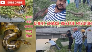 CHANDER VIHAR AREA ME बोहत बड़ा अजगर पकड़ा गया  GIENT AJGAR RESCUE MISSION snakerescue [upl. by Wassyngton259]