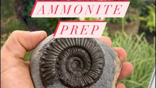 Preparation Of A Fossil Ammonite Full Length [upl. by Dallis356]