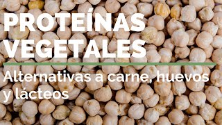 LAS PROTEÍNAS VEGETALES Alternativas a la carne huevos y lácteos Macrobiótica [upl. by Moshell]