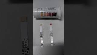 TRUEplus Ketone test strips V15 [upl. by Nylanej]