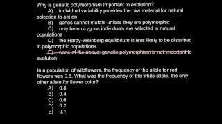 Why is genetic polymorphism important to evolution [upl. by Mills349]