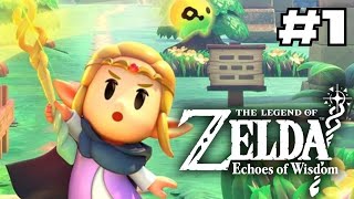 Lets Play THE LEGEND OF ZELDA ECHOES OF WISDOM part 1 [upl. by Ridgley]