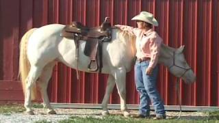 Judging how well your Western Saddle fits your horse [upl. by Eilagam]