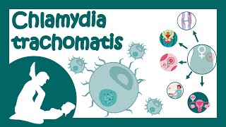 Chlamydia trachomatis [upl. by Oremar]