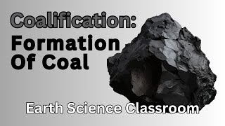 How Does Coal Form What Is Coalification [upl. by Haleemaj]