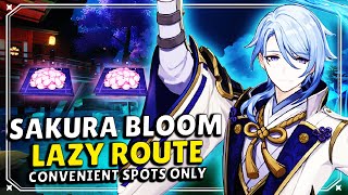 Sakura Bloom Genshin Impact Farm Route EASY amp LAZY ROUTE [upl. by Lledrev585]