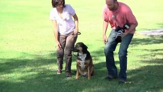 Pet Photography Ep 202 Digital Photography 1 on 1 Adorama Photography TV [upl. by Avrit]