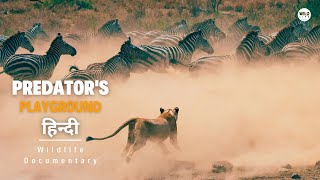 Predators Playground अफ़्रीका 2023 हिन्दी डॉक्यूमेंट्री  Wildlife documentary in Hindi [upl. by Dew665]