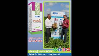 MURLIDHAR AGRO SEEDS GONDAL GUNDALA CHUKADI SARVICE ROAD NEW MARKET YARD [upl. by Heimlich]