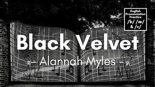 Black Velvet by Alannah Myles Lyrics [upl. by Dorelia798]