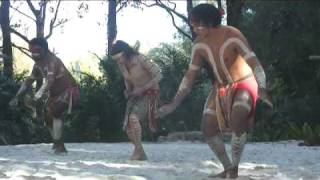 Australian Aboriginal Crane Dance [upl. by Siradal]