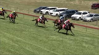 Tumbarumba 27 01 2024 Race 2 [upl. by Vanya]