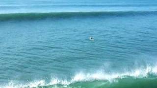 Giant waves in Huntington Beach [upl. by Malca]