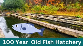 Wild Rose Fish Hatchery Wisconsin [upl. by Aicirtel]