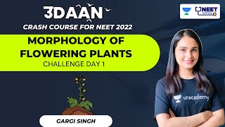 Morphology of Flowering Plants  Challenge Day 1  NEET 2022  Dr Gargi Singh [upl. by Allisan282]