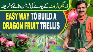 Easy Way To Build A Dragon Fruit Trellis  Gardening With Javed Iqbal [upl. by Anircam]