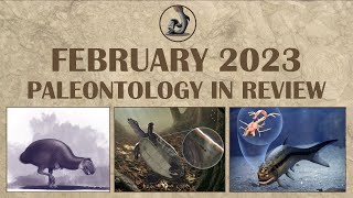 February 2023 Paleontology in Review [upl. by Eneri]