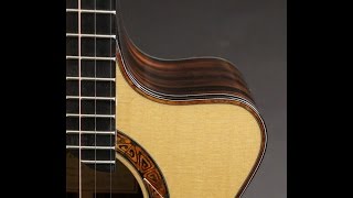 Wingert Royal Macassar Ebony E Guitar at Guitar Gallery SOLD [upl. by Dranel]