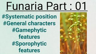 FunariaPart01General charactersGametophytic and sporophytic stage [upl. by Allicirp]