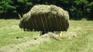 How to HAY SWEEP instead of baling hay day 2 [upl. by Ecnesse]