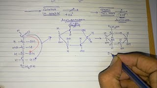 4 Sugar isomers Part3 Optical isomers [upl. by Scarlet]