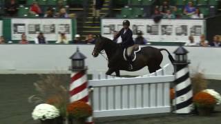 Video of POMEROL ridden by GILL LIBRO from ShowNet [upl. by Kaasi559]