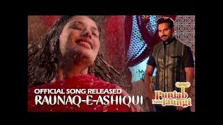 RAUNAQ E ASHIQUI  Punjab Nahi Jaungi  Humayun Saeed  Mehwish Hayat  ARY Films [upl. by Rovit]