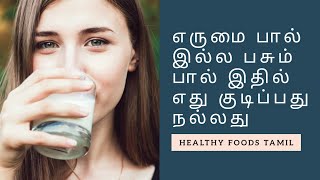 Buffalo milk or Cow milk  What is better to drink  Healthy Foods Tamil [upl. by Pangaro]