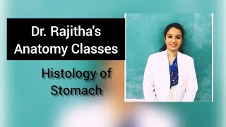 Histology of stomach by Dr Rajitha vanga [upl. by Dulcy]