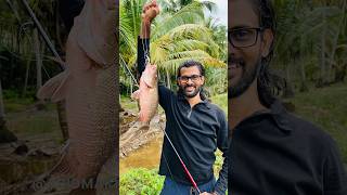 My passion 🎣💚 fishing fish explore kerala shorts vibes fishingfreaks malayalam [upl. by Eseryt]