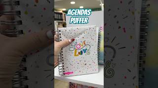 Agendas Puffer Las primeras agendas acolchadas que vas a ver hoy agendas puffer papeleria [upl. by Krefetz748]