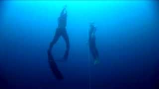 William Trubridge 101m World Record Freedive  Constant Weight No Fins CNF [upl. by Rodger834]